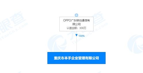 OPPO成立本手企业管理公司 注册资本300万
