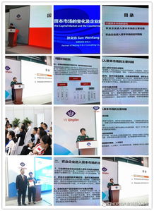 精彩丨viv青岛2019 第二届养殖产业链发展研讨会胜利闭幕