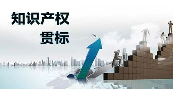 知识产权贯标哪些企业可以做