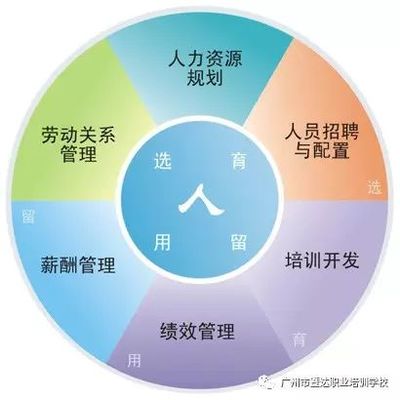 企业人力资源管理师 职业资格