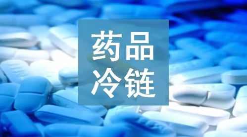 上海到深圳医药冷链物流 上海到深圳冷藏配送