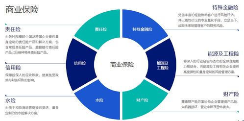 行业资讯篇 你知道这些高端医疗保险公司吗 简介3 美亚aig