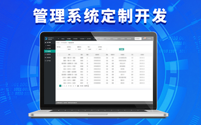 CRM OA软件开发与企业管理服务定制 提升企业效率与协同的战略选择